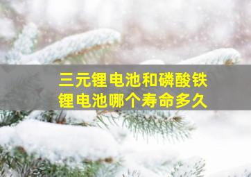 三元锂电池和磷酸铁锂电池哪个寿命多久