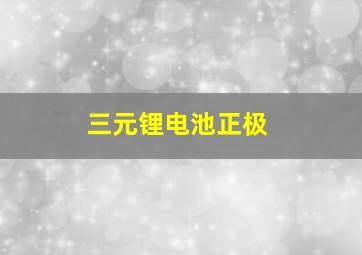 三元锂电池正极