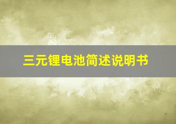 三元锂电池简述说明书