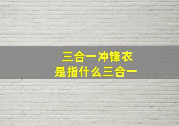 三合一冲锋衣是指什么三合一