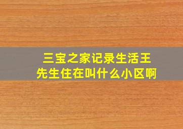 三宝之家记录生活王先生住在叫什么小区啊