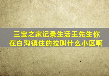 三宝之家记录生活王先生你在白沟镇住的拉叫什么小区啊