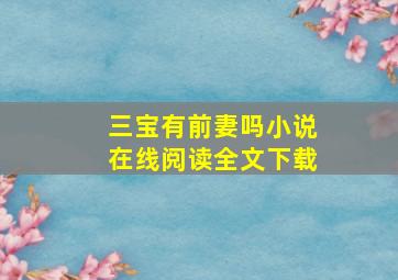 三宝有前妻吗小说在线阅读全文下载