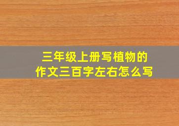 三年级上册写植物的作文三百字左右怎么写