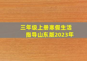 三年级上册寒假生活指导山东版2023年