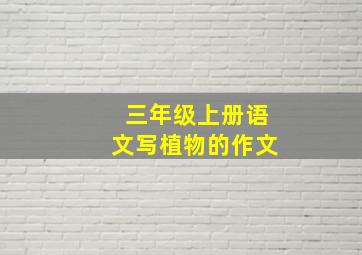 三年级上册语文写植物的作文