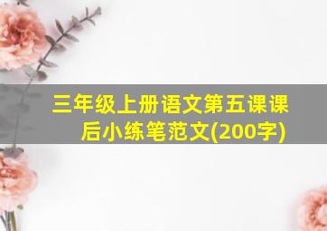 三年级上册语文第五课课后小练笔范文(200字)