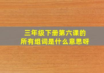 三年级下册第六课的所有组词是什么意思呀