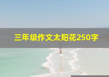 三年级作文太阳花250字