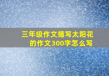 三年级作文描写太阳花的作文300字怎么写