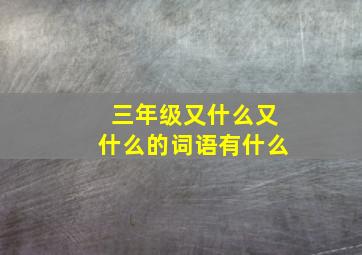 三年级又什么又什么的词语有什么