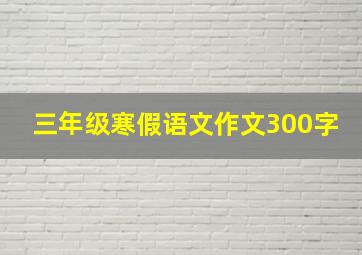 三年级寒假语文作文300字