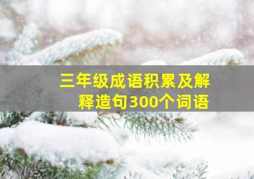 三年级成语积累及解释造句300个词语