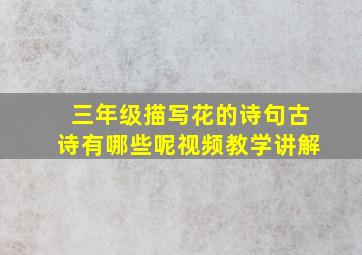 三年级描写花的诗句古诗有哪些呢视频教学讲解