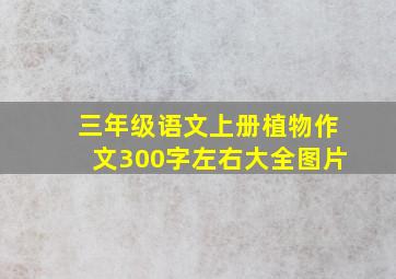 三年级语文上册植物作文300字左右大全图片