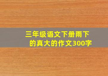 三年级语文下册雨下的真大的作文300字