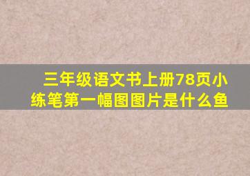 三年级语文书上册78页小练笔第一幅图图片是什么鱼