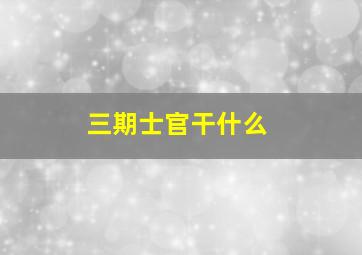 三期士官干什么