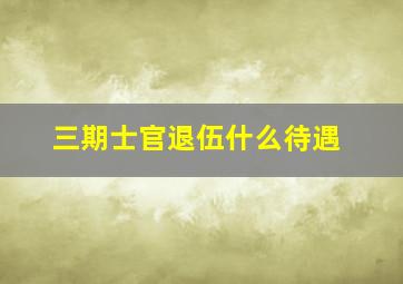 三期士官退伍什么待遇