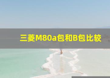 三菱M80a包和B包比较