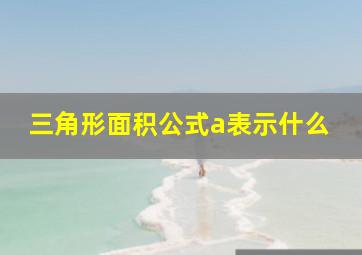 三角形面积公式a表示什么