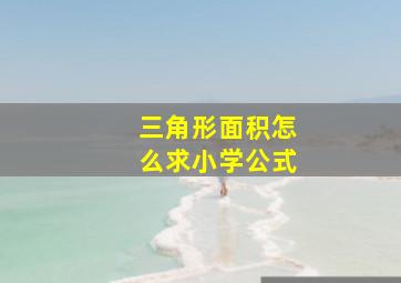 三角形面积怎么求小学公式