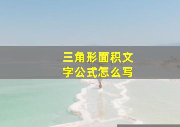 三角形面积文字公式怎么写