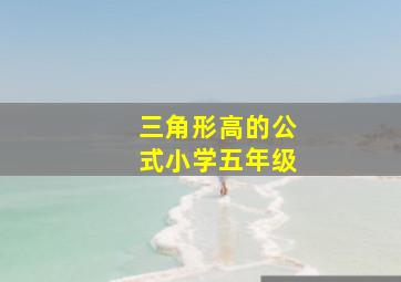 三角形高的公式小学五年级