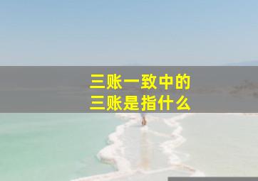 三账一致中的三账是指什么