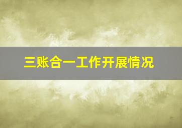 三账合一工作开展情况