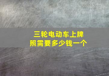 三轮电动车上牌照需要多少钱一个