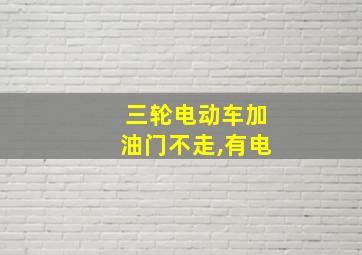 三轮电动车加油门不走,有电