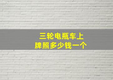 三轮电瓶车上牌照多少钱一个