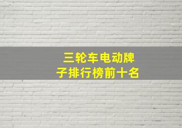 三轮车电动牌子排行榜前十名