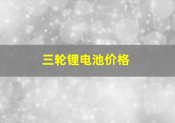 三轮锂电池价格