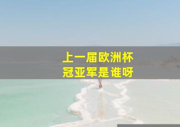 上一届欧洲杯冠亚军是谁呀