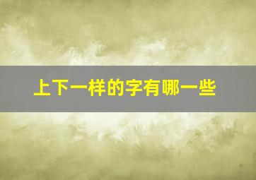 上下一样的字有哪一些