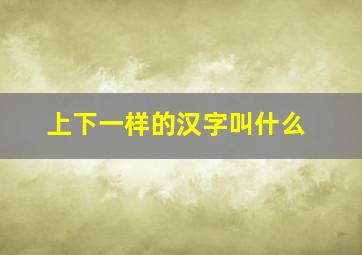 上下一样的汉字叫什么