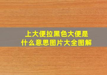 上大便拉黑色大便是什么意思图片大全图解