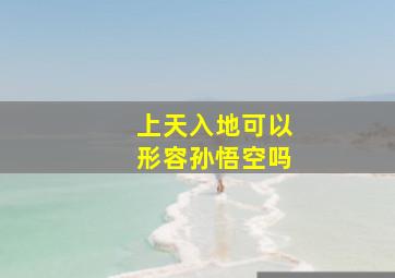 上天入地可以形容孙悟空吗