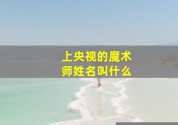 上央视的魔术师姓名叫什么