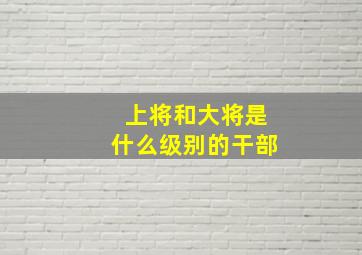 上将和大将是什么级别的干部