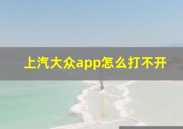 上汽大众app怎么打不开