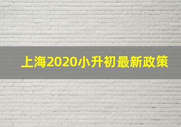 上海2020小升初最新政策