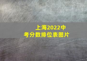 上海2022中考分数排位表图片