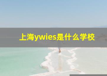 上海ywies是什么学校