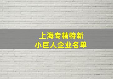 上海专精特新小巨人企业名单