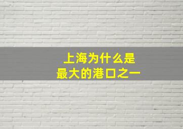 上海为什么是最大的港口之一