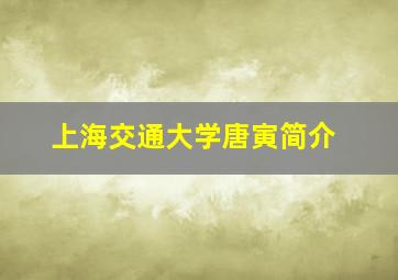 上海交通大学唐寅简介