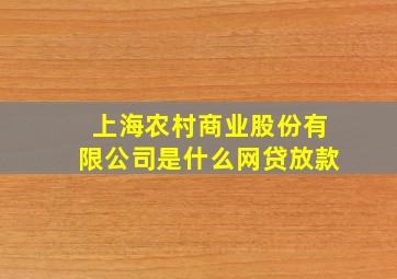 上海农村商业股份有限公司是什么网贷放款